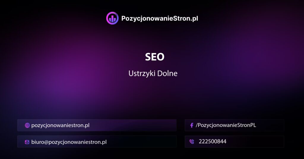 SEO Ustrzyki Dolne