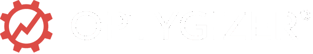 logo optygizer